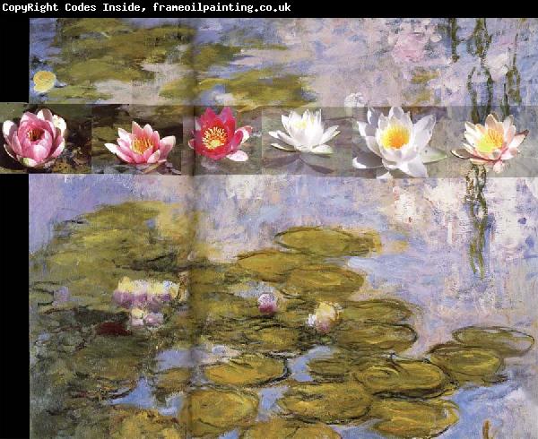 Claude Monet Detail from Water Lilies